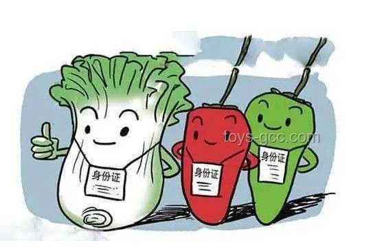 煮粽安全新趋势：未开抽油烟机致中毒案例预警